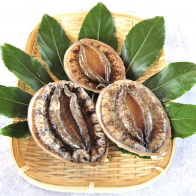 八幡浜発!赤アワビ300g前後!【D22-293】