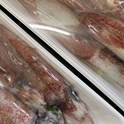 八幡浜発!竹中水産の「白いか1kg」!【D22-291】