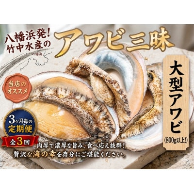 【2ヵ月毎定期便】隔月大型アワビ800gを全3回お届け!【H22-285】全3回