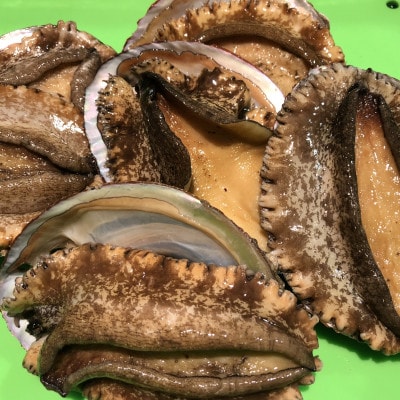 【2ヵ月毎定期便】隔月で八幡浜発、竹中水産天然小アワビ500g前後【H22-286】全3回