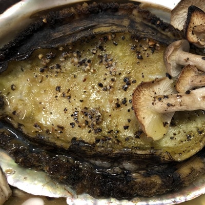 【2ヵ月毎定期便】隔月で八幡浜発、竹中水産天然小アワビ500g前後【H22-286】全3回