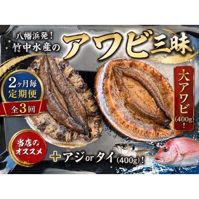 【2ヵ月毎定期便】竹中水産の大アワビ(400g)+アジ又は小鯛付き400g【H22-288】全3回