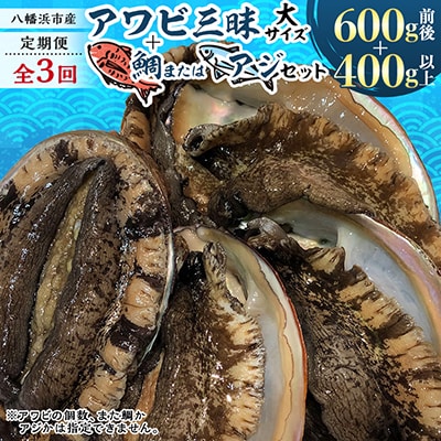 【2ヵ月毎定期便】「アワビ三昧大サイズ」600g前後(鯛またはアジとセット)【H22-290】全3回