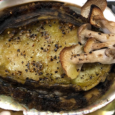 【2ヵ月毎定期便】「アワビ三昧大サイズ」600g前後(鯛またはアジとセット)【H22-290】全3回