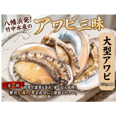 【3ヵ月毎定期便】八幡浜発竹中水産の大アワビ900g以上(2～5個)【H22-289】全2回