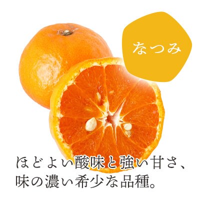 愛媛産希少品種 なつみ寒天ゼリー8本セット【C25-26】