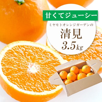 【2025年4月上旬以降発送】果汁たっぷり ジューシー清見3.5kg【C25-129】