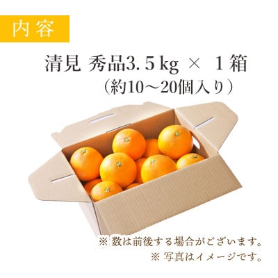 【2025年4月上旬以降発送】果汁たっぷり ジューシー清見3.5kg【C25-129】