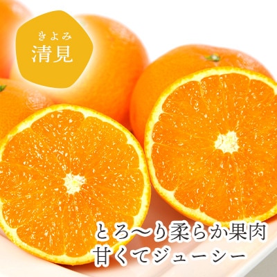 【2025年4月上旬以降発送】果汁たっぷり ジューシー清見3.5kg【C25-129】