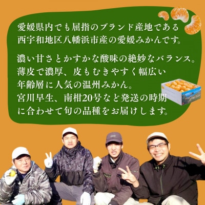 愛媛みかん 5kg 西宇和地区八幡浜市産【D25-21】