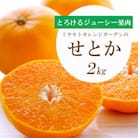 【2026年2月以降発送】とろける濃厚果肉 せとか2kg 愛媛県八幡浜産【E25-37】