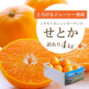 ミヤモトオレンジガーデンの「せとか」4kg【訳あり】【C25-51】