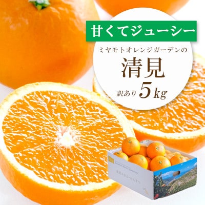 【2025年4月上旬出荷】果汁たっぷり ジューシー清見5kg(訳あり)【C25-138】