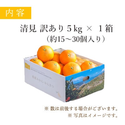 【2025年4月上旬出荷】果汁たっぷり ジューシー清見5kg(訳あり)【C25-138】