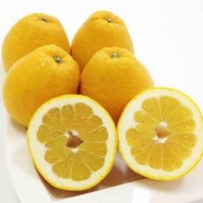 愛媛県 果物 フルーツ 人気特産品おすすめランキング 週間 ふるさと納税サイト さとふる