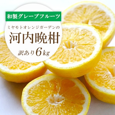 【2025年4月下旬】苦味の少ない和製グレープフルーツ 河内晩柑6kg(訳あり)【C25-136】