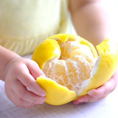 【2025年4月下旬】苦味の少ない和製グレープフルーツ 河内晩柑6kg(訳あり)【C25-136】