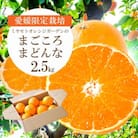 【2025年11月より順次発送】紅まどんなと同品種 愛媛果試28号 2.5kg【D25-128】