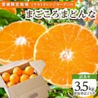 【2025年発送】紅まどんなと同品種!愛媛果試28号 3.5kg【訳あり】【D25-133】