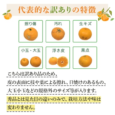 【2025年発送】紅まどんなと同品種!愛媛果試28号 3.5kg【訳あり】【D25-133】