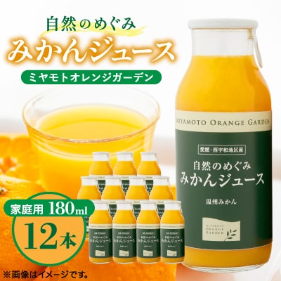 愛媛みかん果汁100%ストレート 自然のめぐみジュース 180ml×12本 (家庭用)【D25-3】