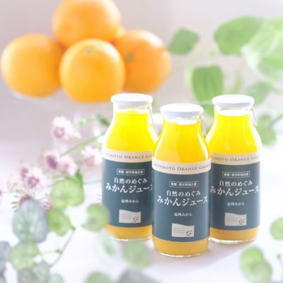 愛媛みかん果汁100%ストレート 自然のめぐみジュース 180ml×12本 (家庭用)【D25-3】