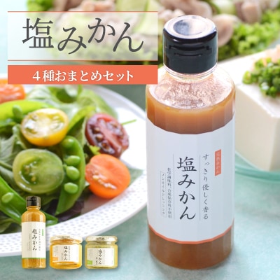 みかんがふわっと香るワンランク上のお料理に!愛媛の新しい調味料 塩みかん4種セット【C25-65】