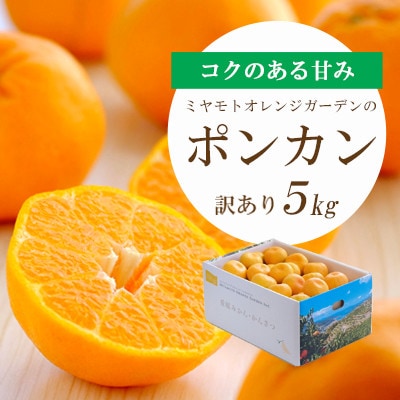 【2026年1月以降発送】愛媛の新春柑橘 芳醇な香りのポンカン 5kg【訳あり】【C25-135】