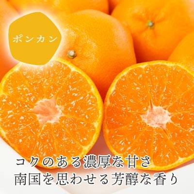 【2026年1月以降発送】愛媛の新春柑橘 芳醇な香りのポンカン 5kg【訳あり】【C25-135】