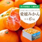 【2025年11月より順次出荷】小さいみかんを厳選!愛媛みかん 小玉6kg【訳あり】【C25-48】