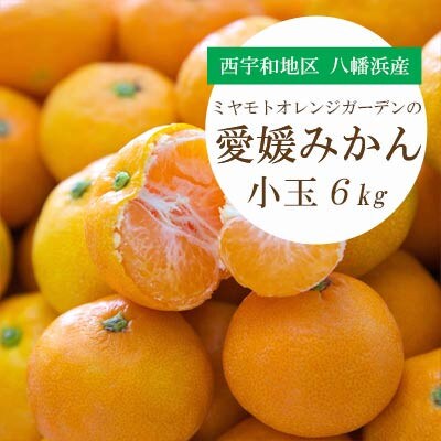 ミヤモトオレンジガーデンの愛媛みかん(小玉)6kg【訳あり】【C25-48】