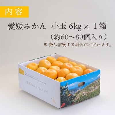 ミヤモトオレンジガーデンの愛媛みかん(小玉)6kg【訳あり】【C25-48】