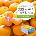 【2025年10月より順次発送】シーズン一番採り!極早生みかん 小玉6kg【訳あり】【C25-47】