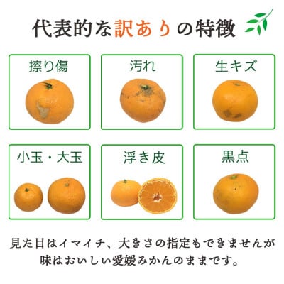 【2025年10月より順次発送】シーズン一番採り!極早生みかん 小玉6kg【訳あり】【C25-47】