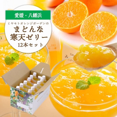 愛媛限定栽培柑橘 まどんな寒天ゼリー12本セット【D25-16】