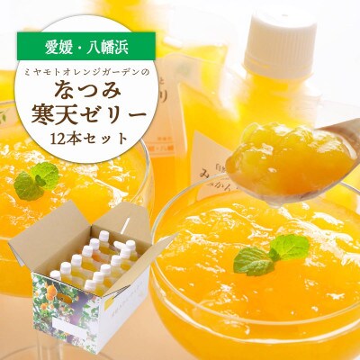 愛媛産希少品種 なつみ寒天ゼリー12本セット【D25-18】