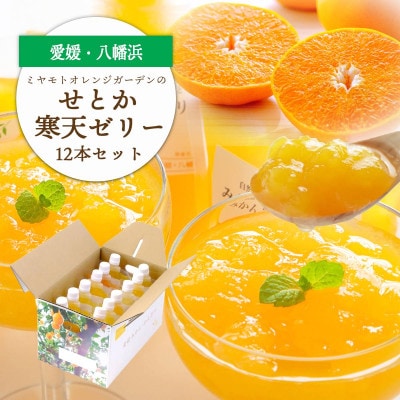 愛媛の高級柑橘 せとか寒天ゼリー12個セット【D25-19】