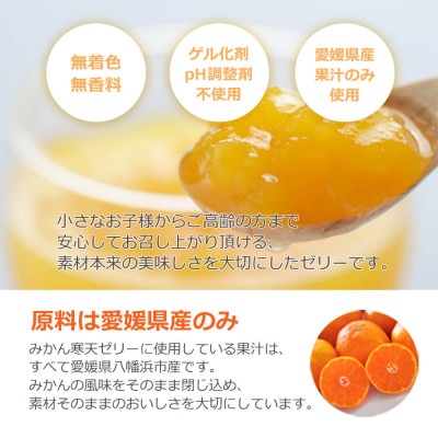 愛媛の高級柑橘 せとか寒天ゼリー12個セット【D25-19】