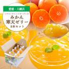 愛媛県八幡浜市のおいしいみかんを使用 みかん寒天ゼリー8本セット【C25-22】