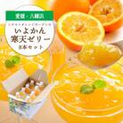 愛媛から「いい予感」♪ はじける香り いよかん寒天ゼリー 8本セット【C25-23】