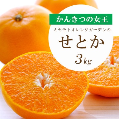 【2026年2月以降発送】とろける濃厚柑橘 せとか 3kg 愛媛県八幡浜産【D25-9】