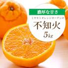 【2026年2月以降発送】デコポンと同品種 濃厚柑橘 不知火(しらぬい) 5kg【D25-125】