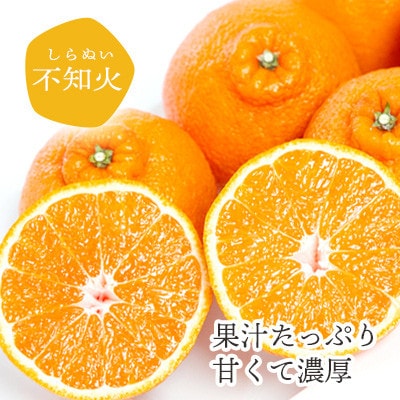 【2026年2月以降発送】デコポンと同品種 濃厚柑橘 不知火(しらぬい) 5kg【D25-125】