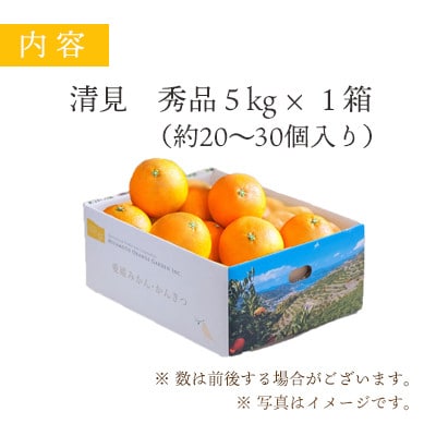 【2025年4月上旬出荷】果汁たっぷり ジューシー清見5kg【D25-126】