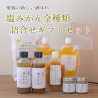 みかんがふわっと香る愛媛の新しい調味料 塩みかん全種詰め合わせセット【D25-81】