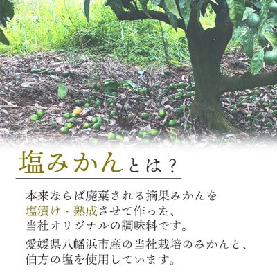 みかんがふわっと香る愛媛の新しい調味料 塩みかん全種詰め合わせセット【D25-81】