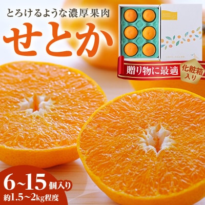 【2026年2月以降発送】とろける濃厚柑橘 せとか ギフトボックス入り【D25-98】