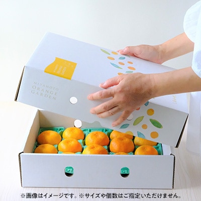 【2026年2月以降発送】とろける濃厚柑橘 せとか ギフトボックス入り【D25-98】