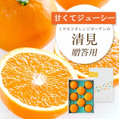 【2025年4月上旬出荷】果汁たっぷり ジューシー清見 贈答BOX入り【D25-100】