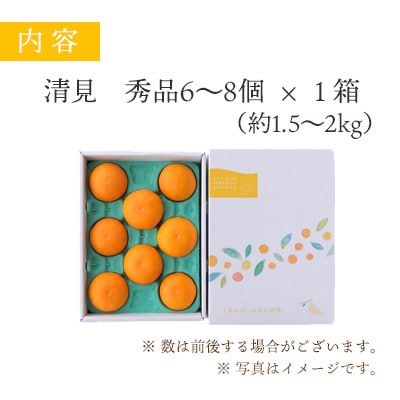 【2025年4月上旬出荷】果汁たっぷり ジューシー清見 贈答BOX入り【D25-100】